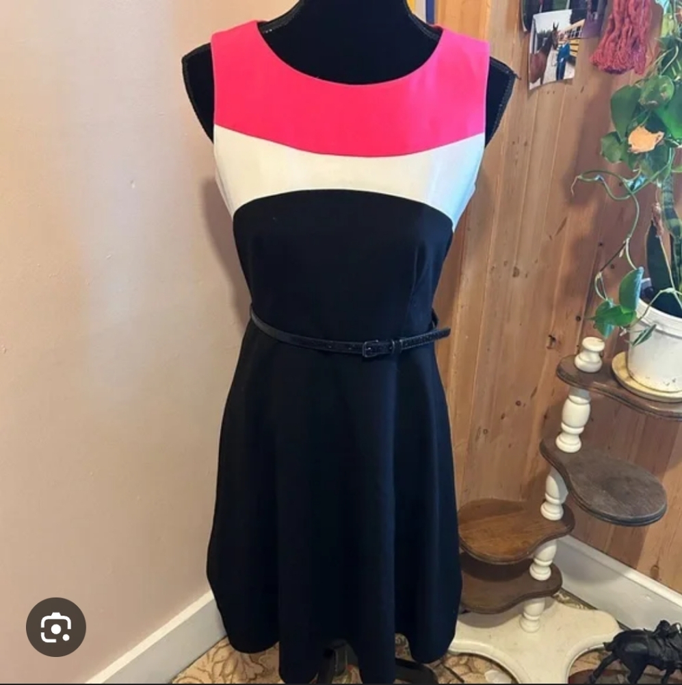 Calvin Klein Colorblock Sleeveless Dress - Pink, White, and Black